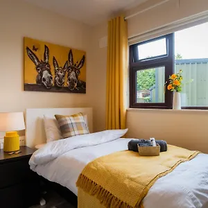 suburban-haven.dublin-hotelsweb.com/